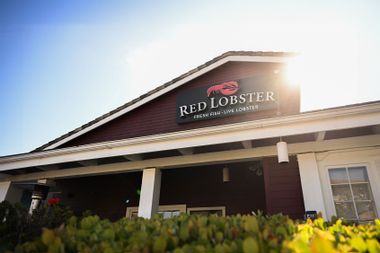 Red Lobster